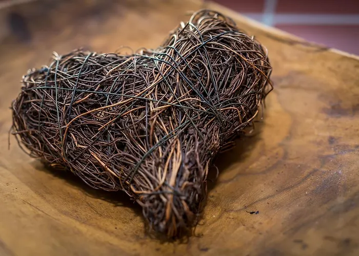 Pensionat Statek Ceska Lipa Myslovice 3*